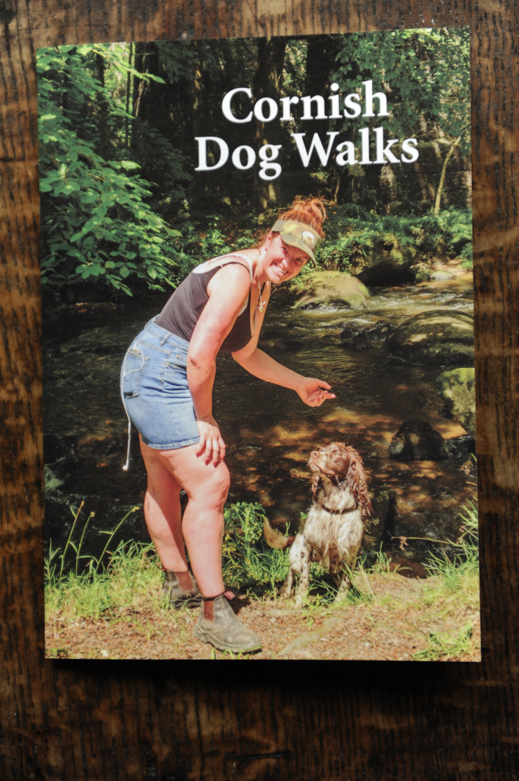 Cornish Dog Walks
