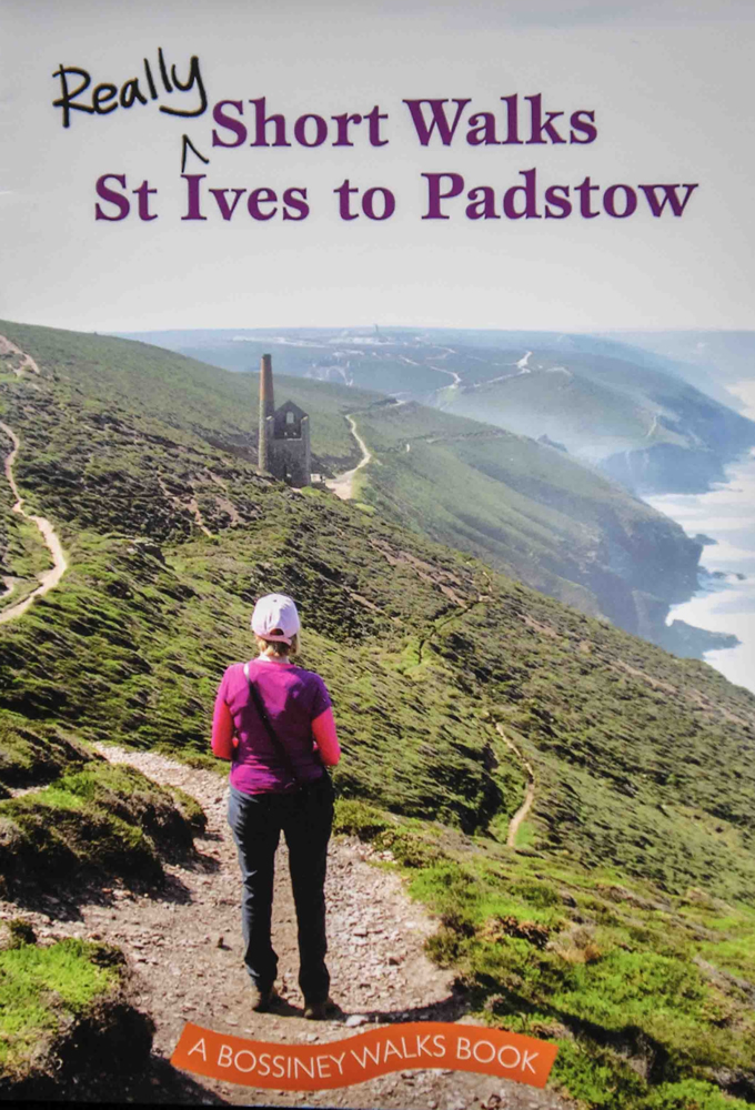 Really Short Walks St Ives to Padstow