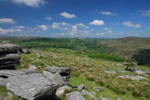 COMBESTONE 7 
