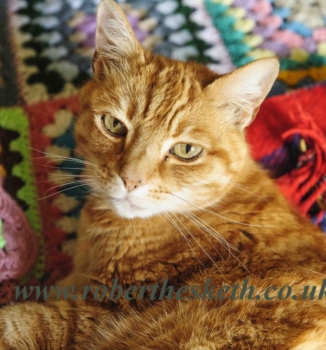 MISTER-PYJAMASlow-res-MAY-2021 (1)