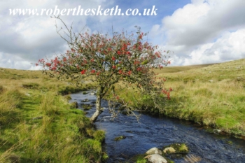 RIVER-ERME-DARTMOOR-EDIT-low-resROBERT-HESKETH-5 (1)