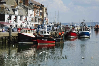 WEYMOUTH-QUAY-AND-FISHING-BOATS-edit-low-res-ROBERT-HESKETH-4 (1)